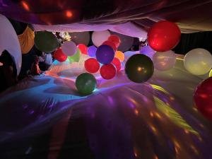 Sunday Whirl-y-Fayre 2024 (221)