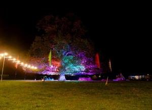 Whirl-y-Fayre 2017 (29)